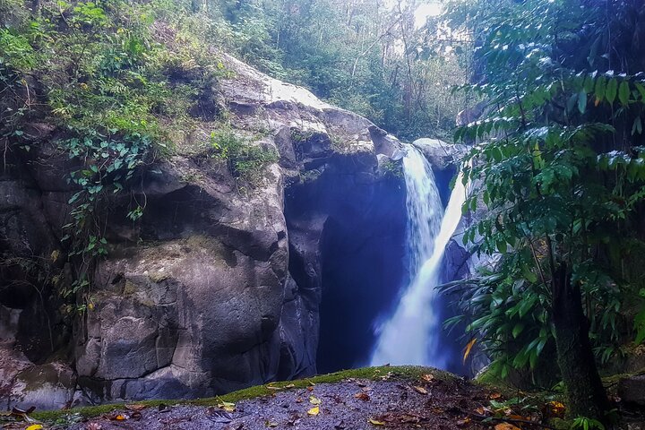 Full-day tour in Minca!