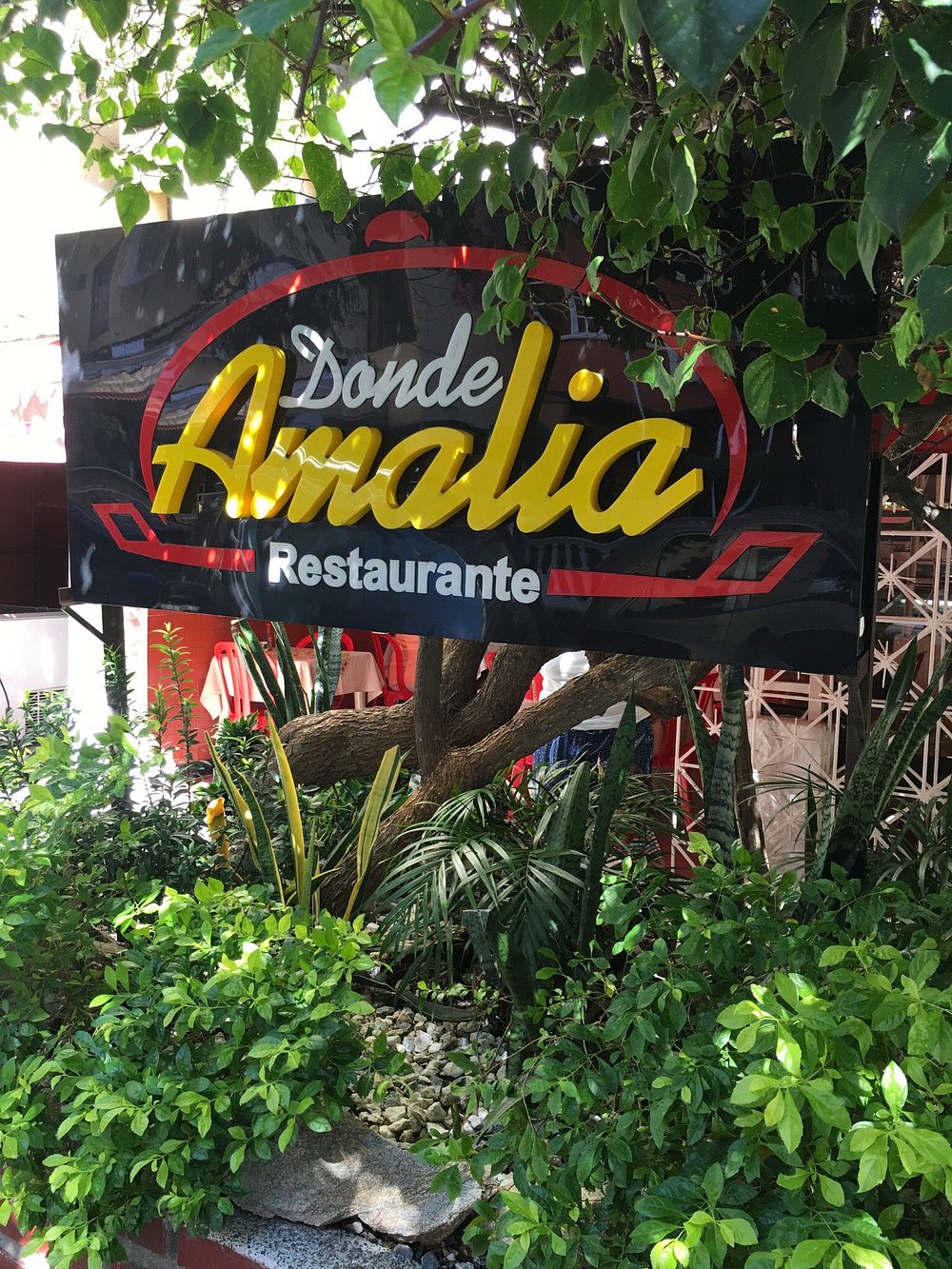 Where Amalia