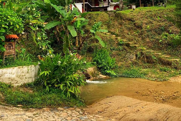 MINCA TOUR - Explore waterfalls and learn about the origin of coffee