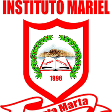 Instituto Mariel
