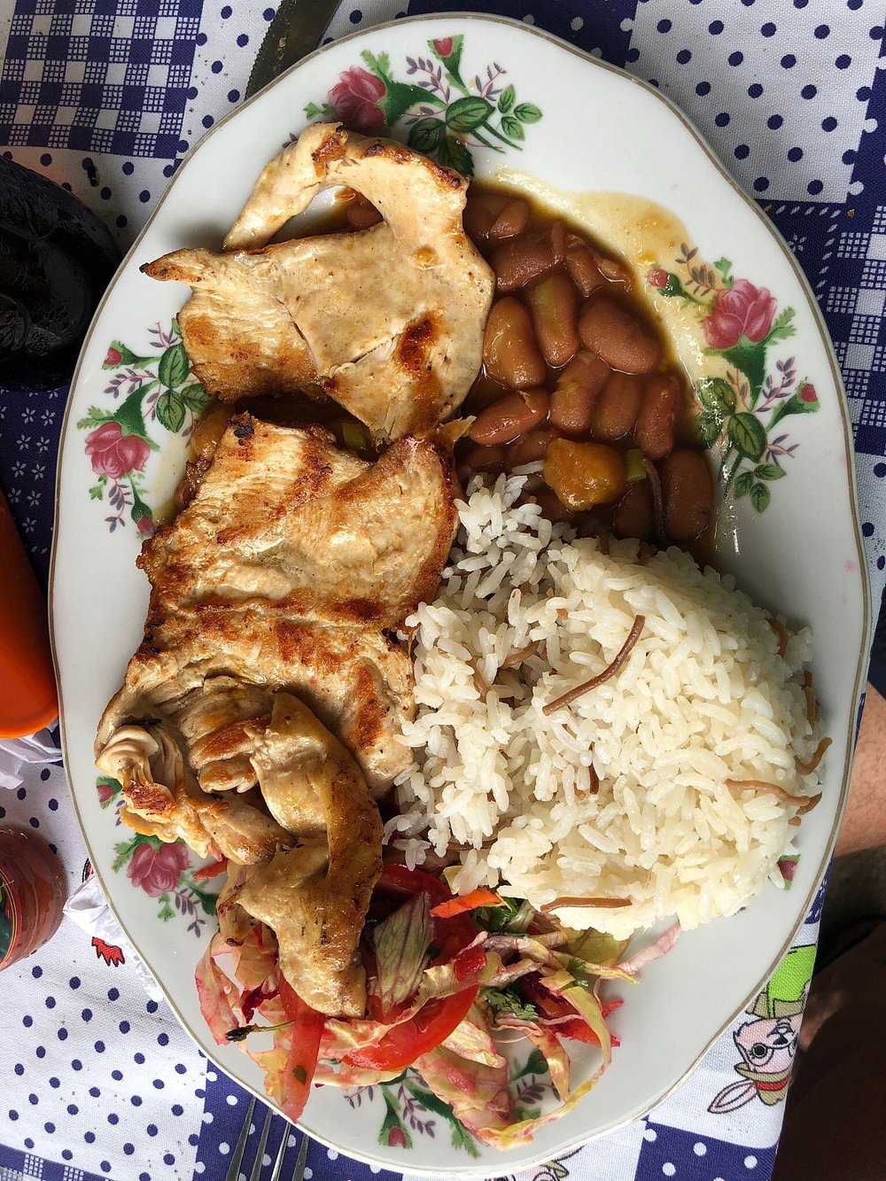 Hostal & Restaurante la Guacamaya