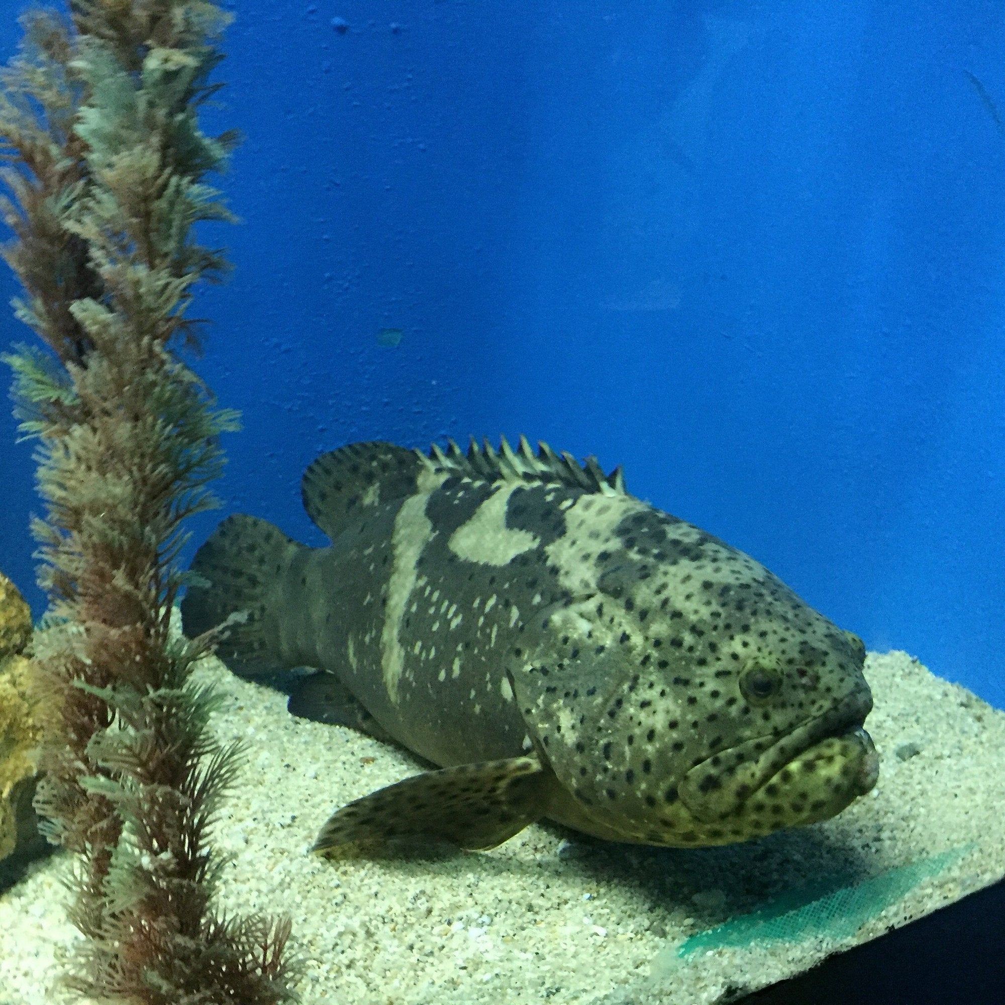 Acuario Mundo Marino