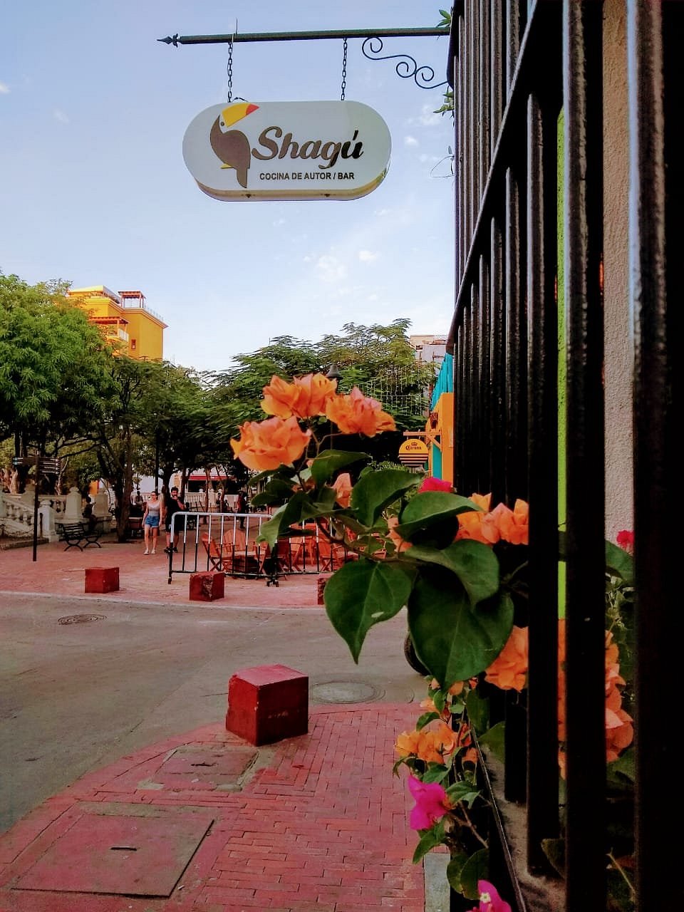 Shagú Cocina Creativa y Arte